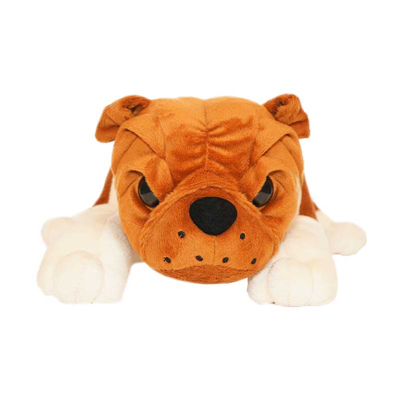 Bruno the Lazy Bulldog