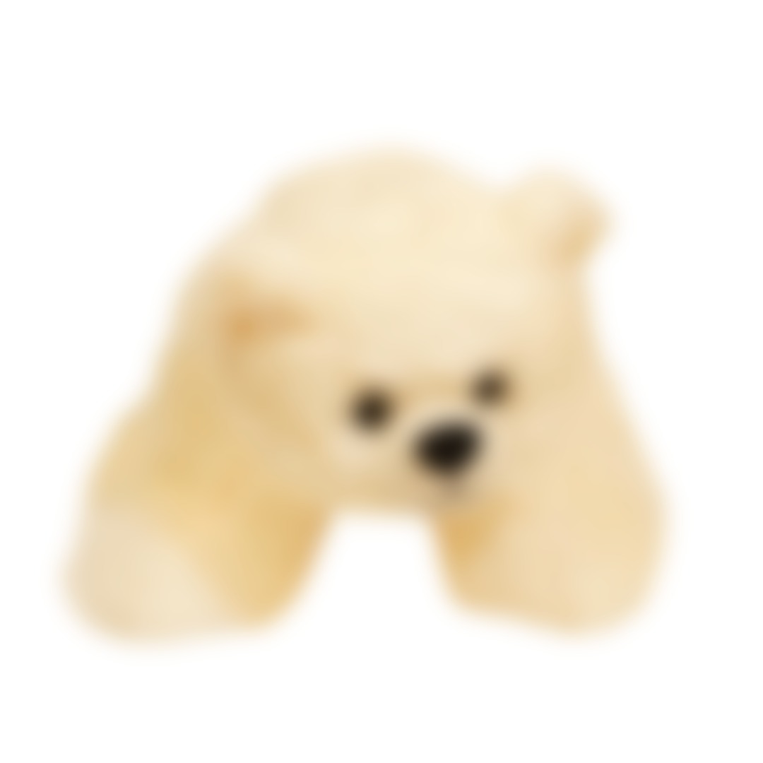 Aurora the Arctic Bear