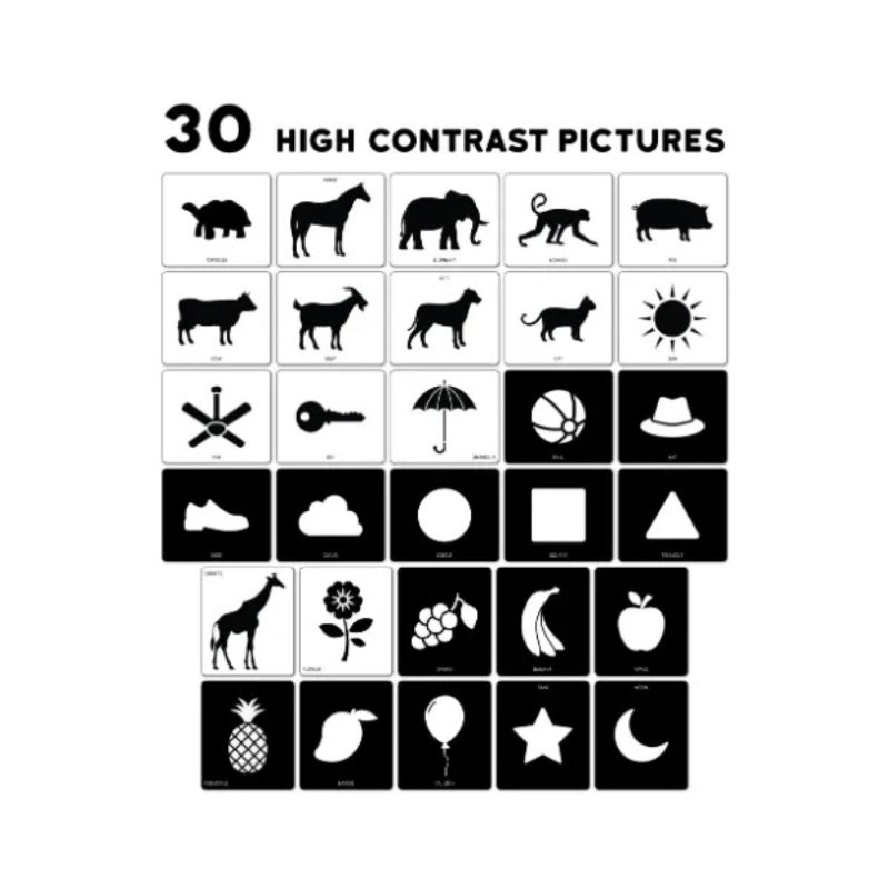 High Contrast Baby Flash Cards (30 Pictures) (Pack Of 6)